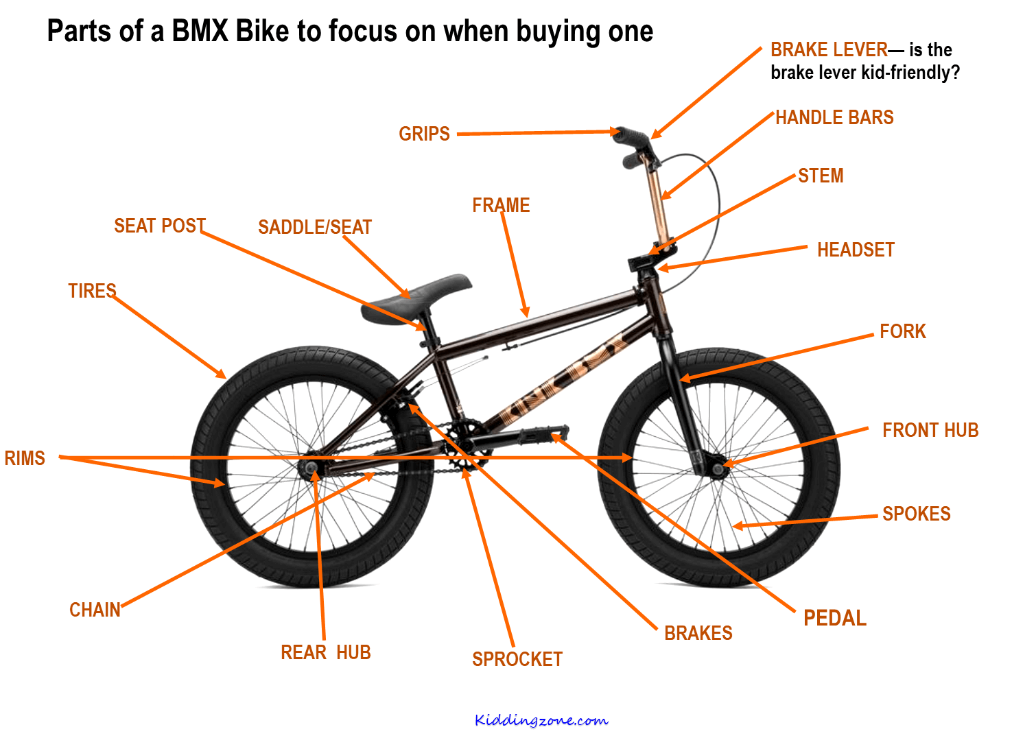 Parts of a BMX Bikes to consider before choosing one